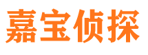 宁陕市调查公司